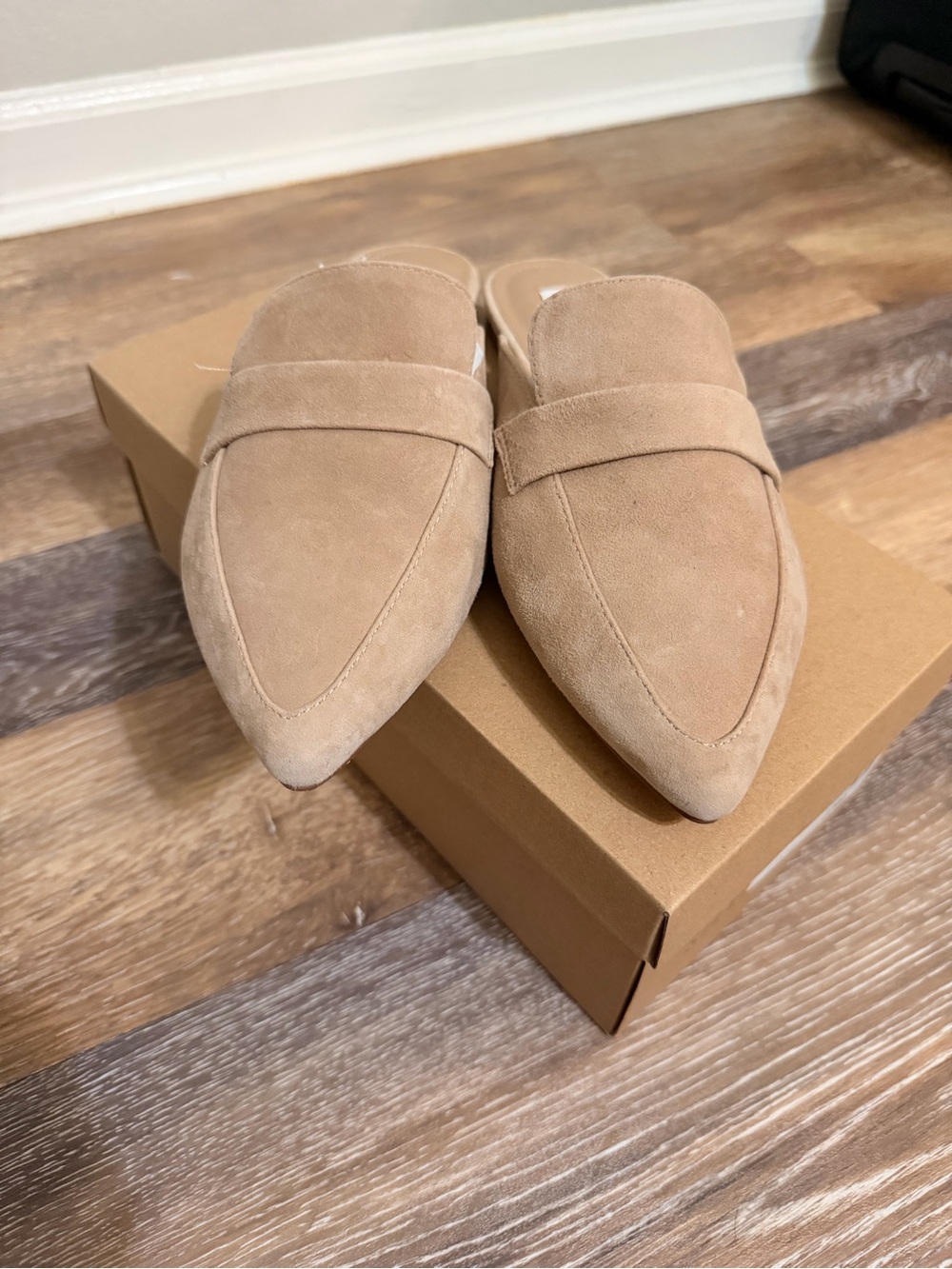Steve Madden Beige Suede Pointed Mule Loafer - Picture 5 of 5